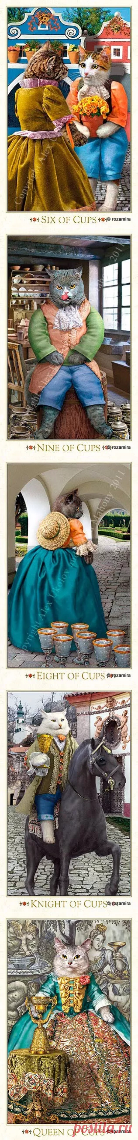 Архив альбомов