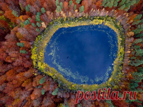 Фотографии, в которые трудно поверить…