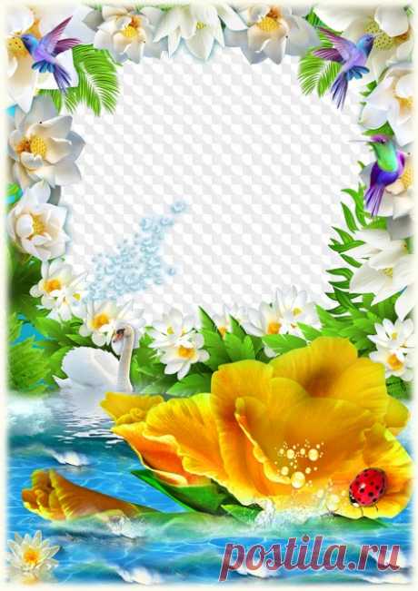 PSD, PNG, marco de fotos, trópicos, fantasía floral. Marco PNG transparente, plantilla de marco de fotos en capas PSD, descarga.