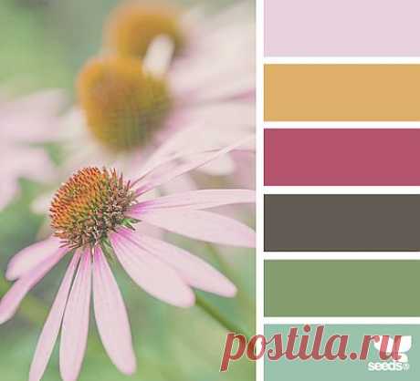 Design Seeds® | find your palette