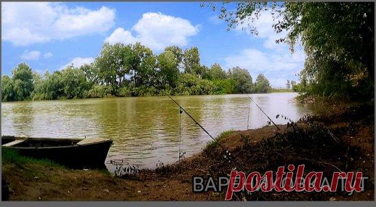 Варениковская. Июнь.
Рыбалка на Кубани.