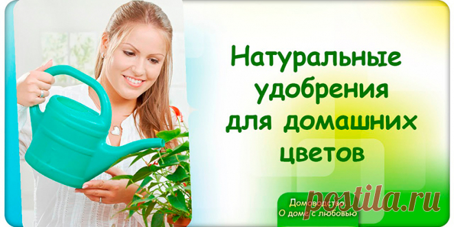 5 натуральных удобрений для домашних цветов | Полезные советы