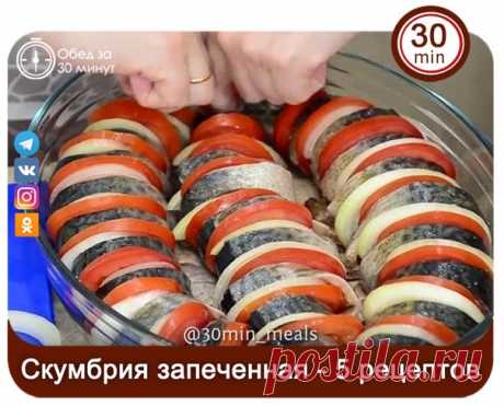 СКУМБРИЯ ЗАПЕЧЕННАЯ.