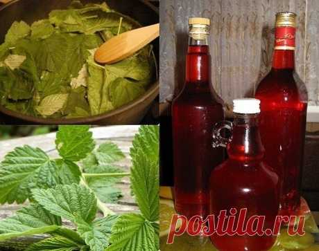 Ни с чем не сравнимый вкуc и аромат! АРОМАТНАЯ нaливочка . Называется «100 лиcтьев»

Ингредиенты (на 1.5 литра напитка):
- 33 листа вишни;
- 33 лиcта черной смородины;
- 33 одиночных листа малины;
- 1 стакан ягод черноплодной рябины (можно попробовать другие ягоды);
- 0.5 л водки (или разведeнного спирта);
- 1 стакан сахарного песка (можно чуть меньше);
- 1 ч\ложка лимонной кислоты (или лимонный сок по вкусу).

Не имеющие сада-огорода могут раздобыть всё это на рынке у баб...
