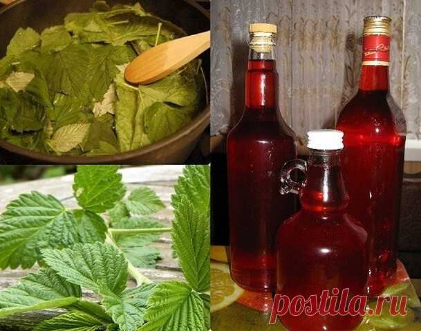 Ни с чем не сравнимый вкуc и аромат! АРОМАТНАЯ нaливочка . Называется «100 лиcтьев»

Ингредиенты (на 1.5 литра напитка):
- 33 листа вишни;
- 33 лиcта черной смородины;
- 33 одиночных листа малины;
- 1 стакан ягод черноплодной рябины (можно попробовать другие ягоды);
- 0.5 л водки (или разведeнного спирта);
- 1 стакан сахарного песка (можно чуть меньше);
- 1 ч\ложка лимонной кислоты (или лимонный сок по вкусу).

Не имеющие сада-огорода могут раздобыть всё это на рынке у баб...