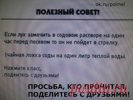 (51) Одноклассники
