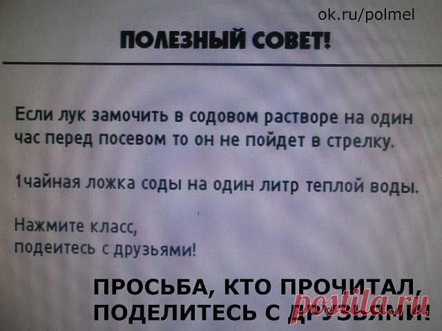 (51) Одноклассники