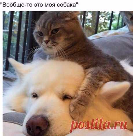 ......