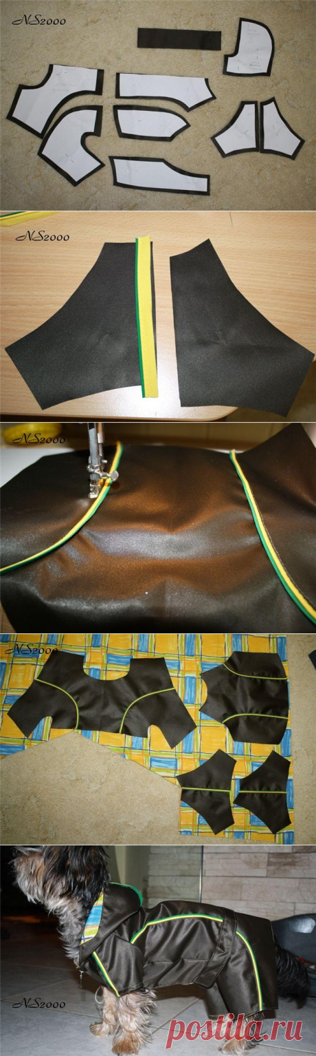 МК по пошиву комбинезона для маленькой собачки. - Форум