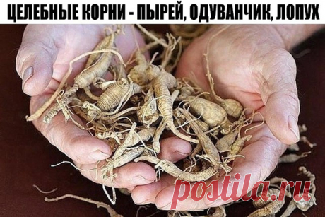 (98) Одноклассники