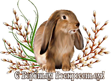 Запах вербы освящённой принесём с собой в жилища.
