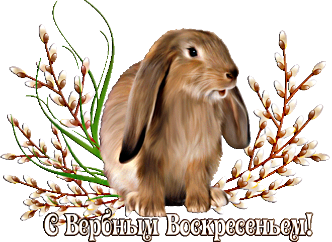 Запах вербы освящённой принесём с собой в жилища.