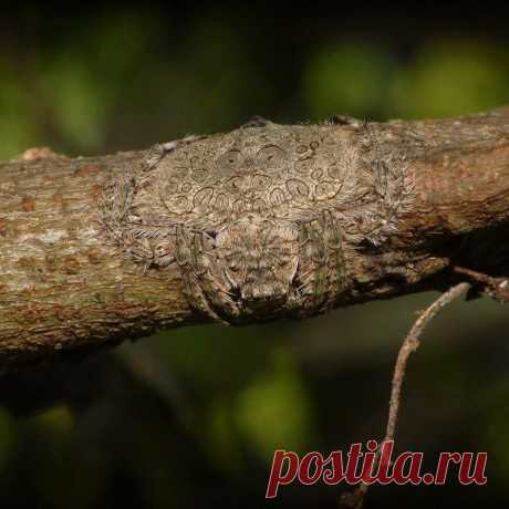 25 пугающих фотографий, доказывающих, что природа может быть по-настоящему страшной