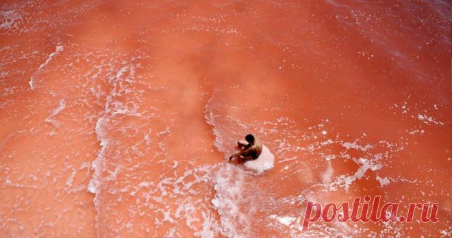 Карамбола, мангостин, лонган и еще 10 необычных фруктов со всех частей света