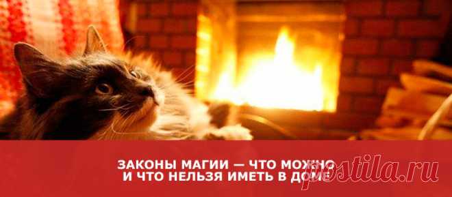 Законы магии — что можно и что нельзя иметь в доме