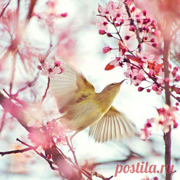 beautiful things : Photo