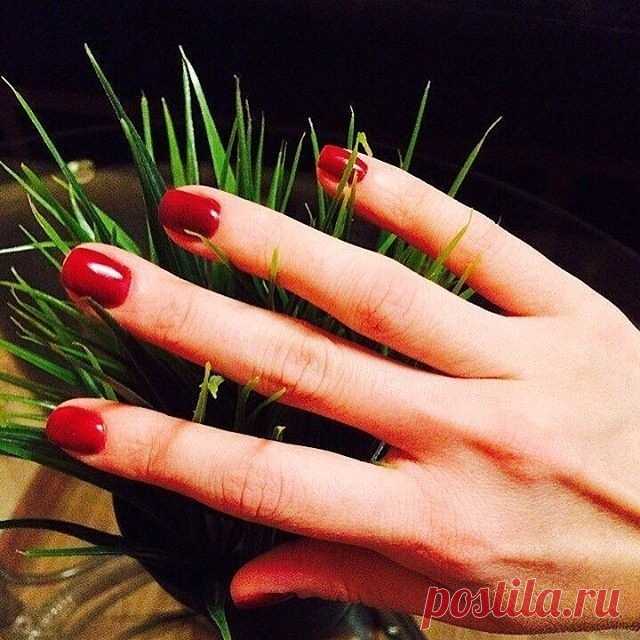 🌹Мечтай!Действуй!Достигай! #выборзатобой! Твоя #жизнь в твоих #руках! 💝Будь #смелее!