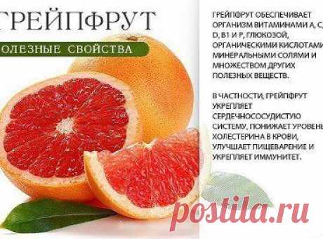 Полезные свойства ягод и фруктов









•••в продолжении ещё фото