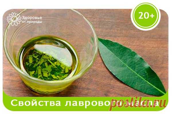 ЛЕЧЕБНЫЕ СВОЙСТВА ЛАВРОВОГО МАСЛА

Лавровый лист является хорошо известной и популярной специей и занимает особое место на нашей кухне.
Однако мало кто знает, что, кроме приготовления пищи, листья этого средиземноморского вечнозеленого дерева используются для многих лекарственных целей.
Показать полностью…