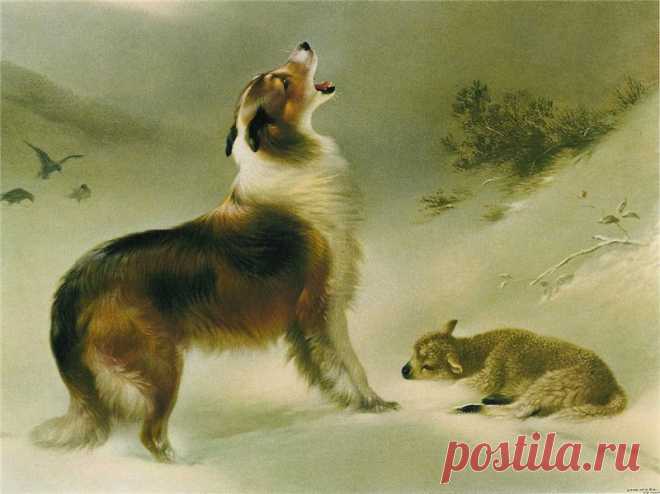 Сэр Эдвин Ландсир (Sir Edwin H Landeer)