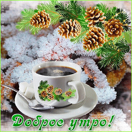(11) Мой Мир@Mail.Ru