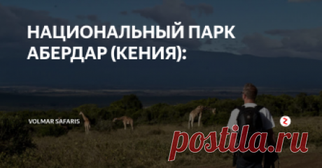 НАЦИОНАЛЬНЫЙ ПАРК АБЕРДАР (КЕНИЯ): Абердар - третий по величине (584 кв. км) национальный парк Кении. Абердар - это волшебная, сказочная страна, внушающая благоговейный страх своей красотой, таинственностью и непокорностью. Aberdare великолепен, редкое место, где можно найти столь же величественные виды и такое же обилие дикой природы: разнообразные растения и животные, рыбы и птицы, прекрасные ручьи. В Aberdare очень богатая фауна