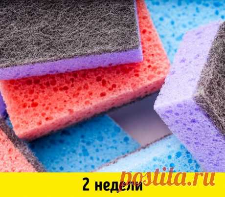 20 вещей, у которых есть срок годности, хотя вы об этом не подозревали