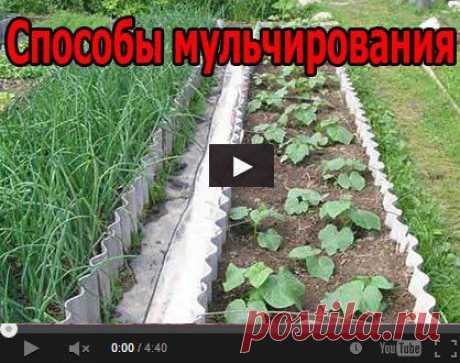 Огород для ленивых