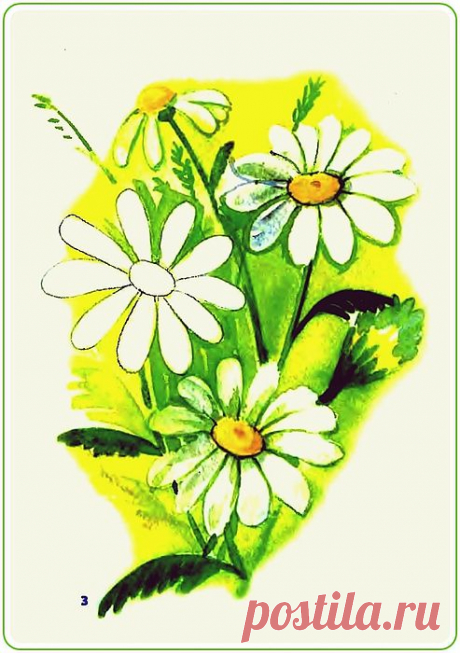 Акварельные цветы. Уроки Рисования..