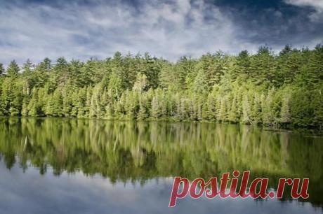 Инициатива