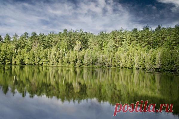 Инициатива