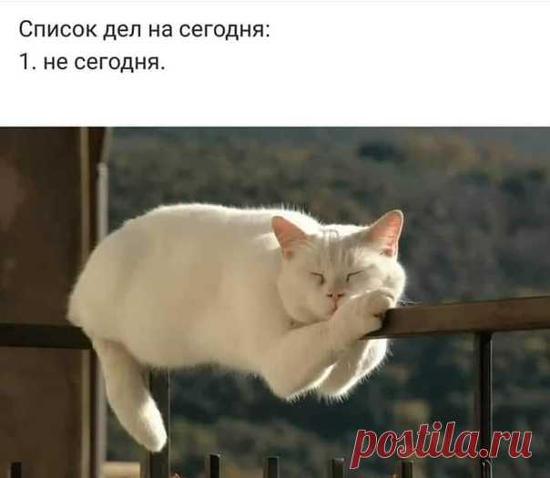 Вся недвижимость Москвы от Ask24.city