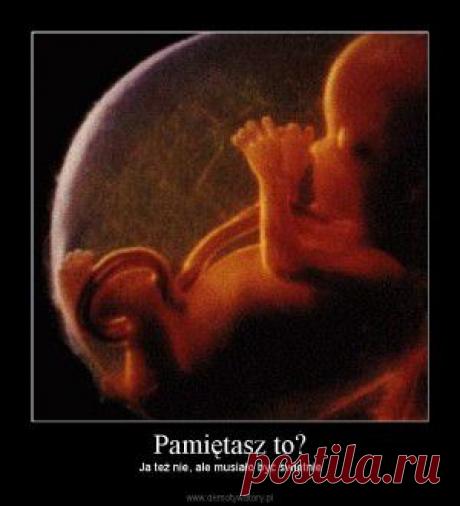 ЧТО ЧУВСТВУЕТ НЕРОДИВШИЙСЯ РЕБЁНОК.