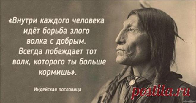 26 мудрых пословиц индейского народа
Коренные жители Америки — народ, мудрый от природы. Тихие, спокойные, живущие в гармонии с окружающим миром, они, как никто другой, понимают, что две главные ценности на этой земле: природа и жизнь. Неразрывно связанные. И только, найдя гармонию с природой, человечество станет по-настоящему счастливым и процветающим. За эти взгляды индейцы показались «цивилизованным» европейцам отсталыми дикарями, но […]
Читай пост далее на сайте. Жми ⏫ссылку выше