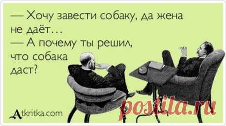 Анекдоты и фразы в картинках | Смехопанорама