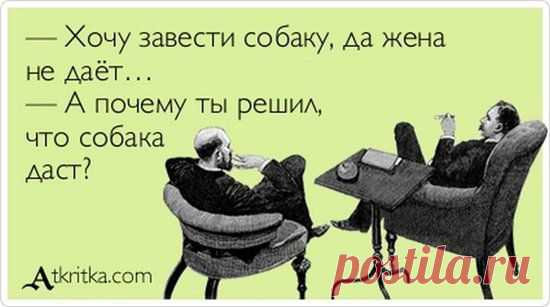 Анекдоты и фразы в картинках | Смехопанорама