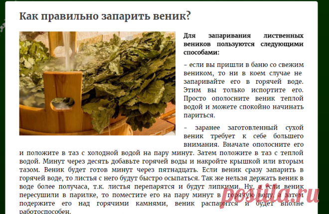 Как правильно запарить веник? | Охота, Рыбалка и Туризм
