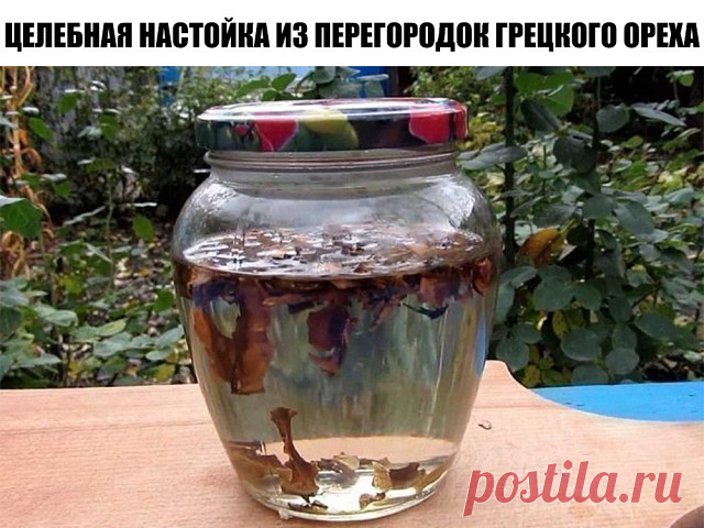 Настойка на перегородках грецкого ореха эффективна при борьбе с таким заболеванием как сахарный диабет, радикулит, боль в суставах, при затянувшемся расстройстве желудка, для лечения зоба, пяточных шпор, ухудшении памяти, головной боли, бессоннице, нервных расстройствах, фибромиоме матки, мастопатии.
