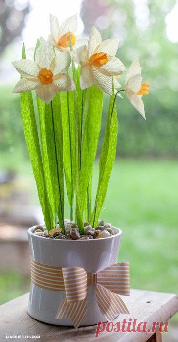 Весенние нарциссы из гофрированной бумаги. Мастер-класс
