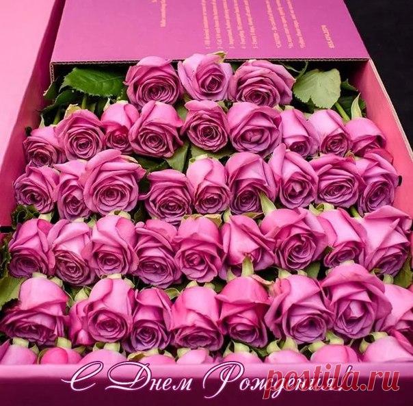 Наталия Сафронова