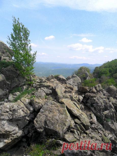 Приглашаем друзей