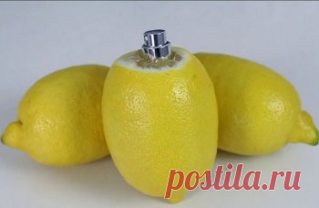 Распылитель для цитрусовых своими руками