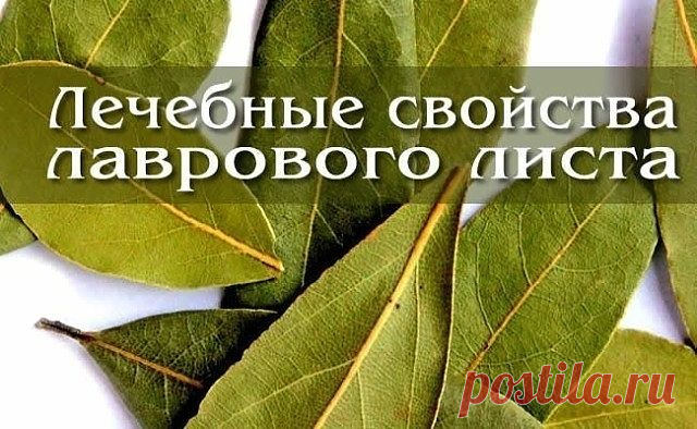 (59) Одноклассники