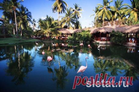 Отель Natura Park Beach Eco Resort &amp; Spa 5**, Доминикана