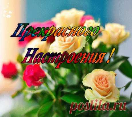Плейкаст «ПРЕКРАСНОГО НАСТРОЕНИЯ ОТ СКАЗКИ ЦВЕТОВ!»