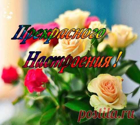Плейкаст «ПРЕКРАСНОГО НАСТРОЕНИЯ ОТ СКАЗКИ ЦВЕТОВ!»