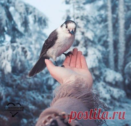 Помните: вы притягиваете к себе то, во что вы верите и о чём думаете. © Дж. Темплтон