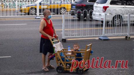 Температура, рвота и смерть: В Китае разгулялся смертоносный буньявирус
© Wiktor Dabkowski/Globallookpress Китайские журналисты предупредили о том, что в стране разгулялся буньявирус. Среди симптомов патогенного вируса — повышенная температура, рвота, диарея, иногда полиорганная недостаточность, а далее нередко смерть. По данным экспертов, переносчиками вируса являются клещи, а инфекция может...
Читай дальше на сайте. Жми подробнее ➡