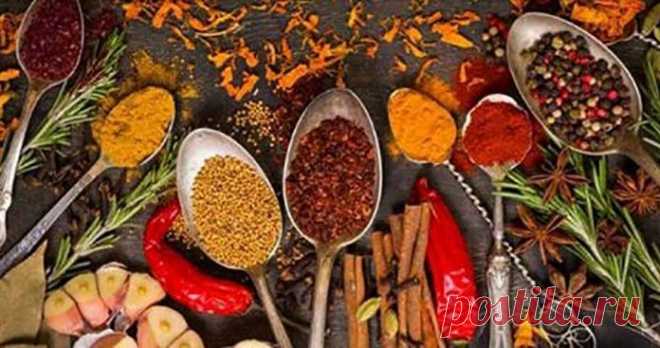 9 специй, способствующих похудению Вкусные травы и специи не только наполняют нашу пищу ароматом, некоторые из них имеют действительно удивительные свойства для здоровья и красоты. Они могут быть вашим решением похудеть!
 




Корица, …