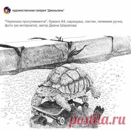 раздел &quot;черепахи&quot;